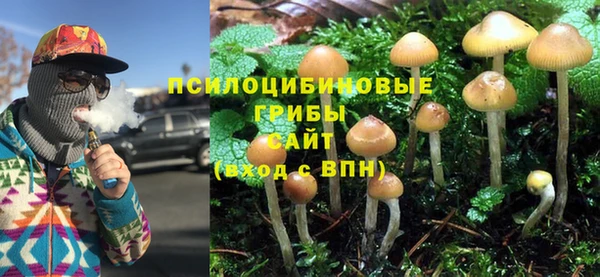 спайс Горно-Алтайск