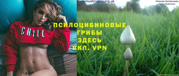 ECSTASY Горнозаводск