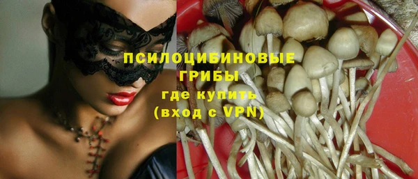 ECSTASY Горнозаводск