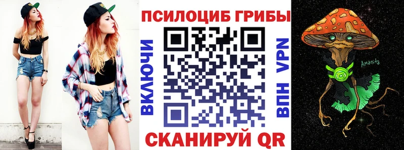 цена   Камышин  Галлюциногенные грибы GOLDEN TEACHER 